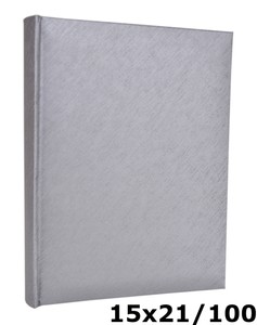 Album na zdjęcia w rozmiarze 15x21 cm - 100 zdjęć do wsuwania 15x21/100 CLEAN SILVER - srebrny