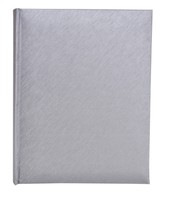 Album na zdjęcia w rozmiarze 15x21 cm - 100 zdjęć do wsuwania 15x21/100 CLEAN SILVER - srebrny